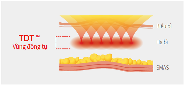 Cơ sở vật chất hiện đại tại Thẩm mỹ - Nha khoa Á Đông