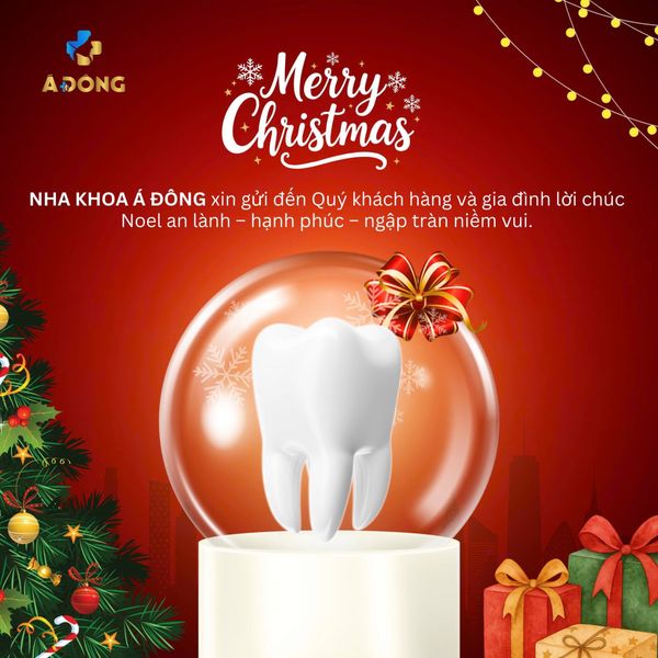 🎄✨ CHÚC MỪNG GIÁNG SINH – AN LÀNH & RẠNG RỠ NỤ CƯỜI ✨🎄